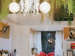 -Husky Go! 哈士奇体验馆·宠物咖啡厅狗咖