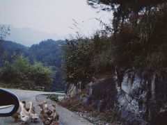 -山王坪喀斯特国家生态公园