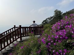 -广州市石门国家森林公园