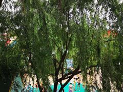 -杭州浪浪浪水公园