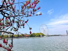 -无锡蠡湖国家湿地公园-蠡园