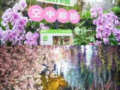 -正佳雨林生态植物园