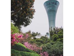 -狐尾山公园