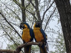 -北京野生动物园