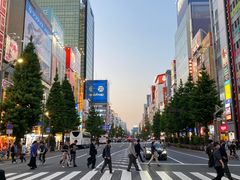 -秋叶原电器街