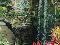 -广州白天鹅宾馆