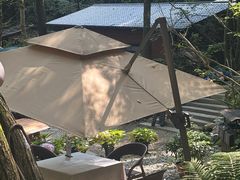 -牛背梁国家森林公园