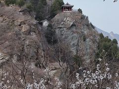 -北京鹫峰国家森林公园