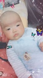 -龙文宝贝上门婴儿理发满月剃胎毛(总店)