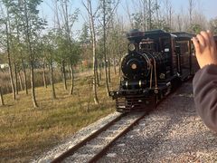 -合肥滨湖国家森林公园