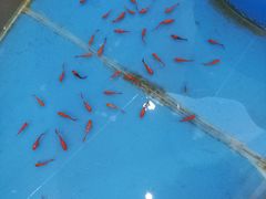 -圆融购物中心(南天成路店)