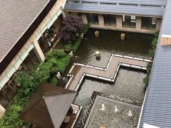 -三清山希尔顿度假酒店