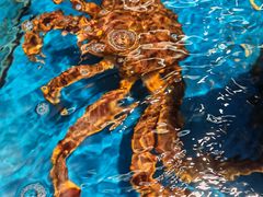 -大润发(姑嫂树店)