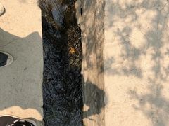 -碓臼峪自然风景区