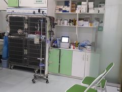 -汪喵宠物医院·骨科心脏影像·犬猫急重症ICU诊疗中心(成华分院)