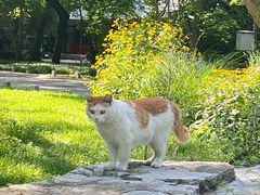 -北京动物园-畅观楼