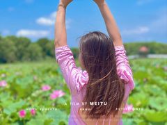 -洪湖生态旅游区