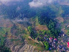 -紫鹊界梯田景区