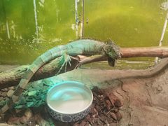 -上海昆虫博物馆