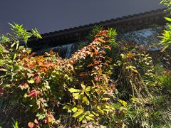 -W Coffee(船板巷店)
