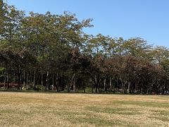 -中山公园