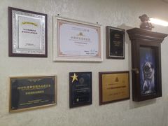 -宠爱国际动物医院·消化内科·心肾内科·ISFM猫友好(望京店)