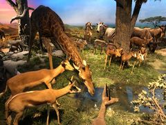 -国家自然博物馆