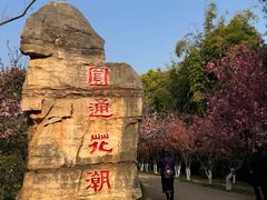 -昆明动物园