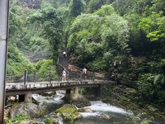 -三峡人家风景区