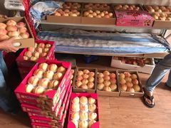 -南汇新场正宗水蜜桃采摘