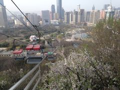 -富斯特索道