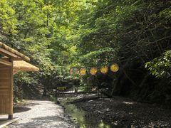 -夏霖九天银瀑风景区
