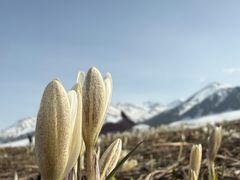 -新疆那拉提国家旅游度假区