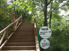 -大岭沟猕猴桃谷风景区