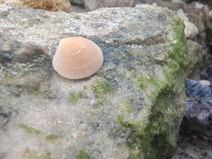 -亚龙湾中心广场