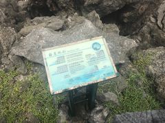 -龙坑生态保护区