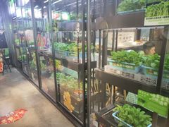 -番食园鲜食火锅(高新店)