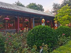 -白家大院·王府宫廷菜(苏州街店)