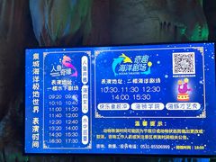 -泉城欧乐堡海洋极地世界