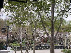 -趵突泉景区