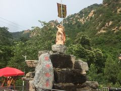 -大岭沟猕猴桃谷风景区