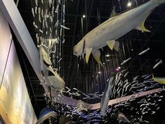 -长江文明馆