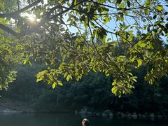 -石台牯牛降景区