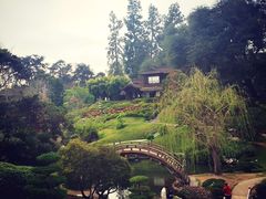 -汉庭顿图书馆