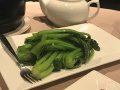 -八樂居