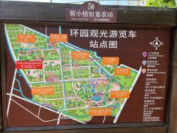 -前小桔亲子创意农场·草莓采摘·露营烧烤
