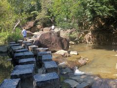 -广州白江湖森林公园