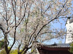 -堤角公园