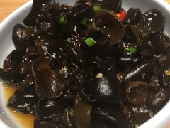 开胃小木耳-7017浙菜•建德味(中财店)