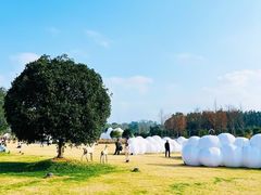 -飞天山旅游区